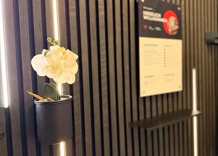 Levelup 5von5 Koblenz (Rhineland-Palatinate)